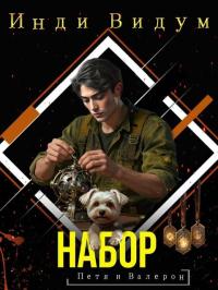 Обложка книги Набор - Инди Видум