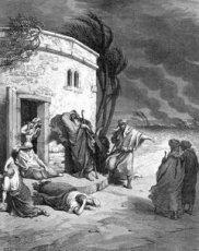 Обложка книги Книга Иова (синодальный перевод) - Ветхий Завет