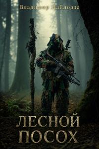 Обложка книги Лесной посох - Владимир Пайлодзе