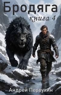 Обложка книги Бродяга. Том 4 - Андрей Евгеньевич Первухин