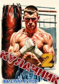 Обложка книги Кулачник 2 - Валерий Александрович Гуров