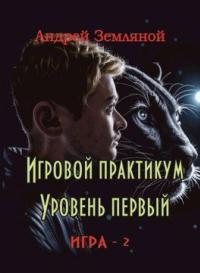 Обложка книги Игровой практикум - Андрей Борисович Земляной