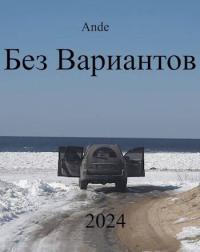 Обложка книги Без Вариантов - Ande