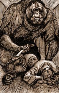 Обложка книги Убийство в улице Морг - Эдгар Аллан По