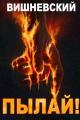 Обложка книги Холодное пламя: Пылай! - Сергей Викторович Вишневский