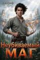 Обложка книги Неубиваемый маг - Евграф