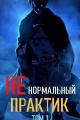 Обложка книги Ненормальный практик 1 - Отшельник Извращённый