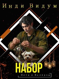 Обложка книги Набор - Инди Видум