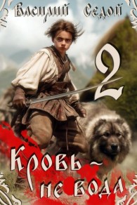 Обложка книги Кровь не вода 2 - Василий Седой