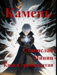 Обложка книги Камень. Книга 13 - Станислав Николаевич Минин