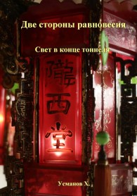 Обложка книги Две стороны равновесия. Свет в конце тоннеля - Хайдарали Мирзоевич Усманов
