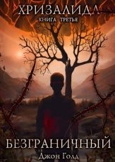Обложка книги Хризалида. Безграничный - Джон Голд