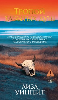 Обложка книги Тропой забытых душ - Лиза Уингейт