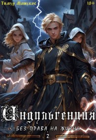 Обложка книги Индульгенция 2. Без права на жизнь - Тимур Машуков