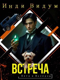 Обложка книги Встреча - Инди Видум