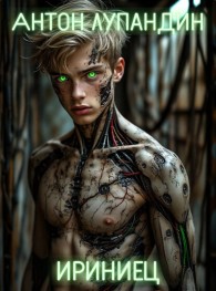 Обложка книги Ириниец - Антон Лупандин