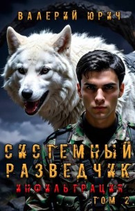 Обложка книги Системный разведчик. Инфильтрация. Том 2 - Валерий Юрич