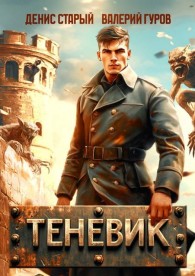 Обложка книги Теневик. Конец войны - Денис Старый