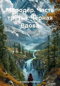 Обложка книги Черная Вдова - Владимир Геннадьевич Поселягин