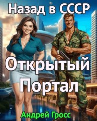 Обложка книги Открытый портал. Назад в СССР - Андрей Гросс