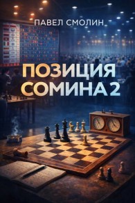 Обложка книги Позиция Сомина 2 - Павел Смолин