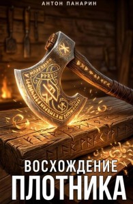 Обложка книги Восхождение Плотника. Том 2 - Антон Панарин
