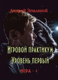 Обложка книги Игровой практикум - Андрей Борисович Земляной