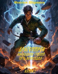 Обложка книги Драгомиров. Наследник стихий. Путь возмездия. Книга 1 - Максим Шаравин