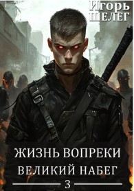 Обложка книги Великий Набег - Игорь Витальевич Шелег