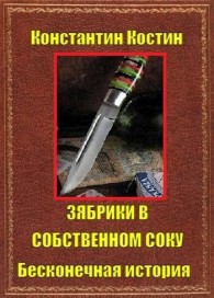 Обложка книги Зябрики в собственном соку или бесконечная история - Константин Константинович Костин