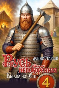 Обложка книги Выход из тени - Денис Старый