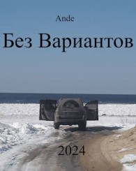 Обложка книги Без Вариантов - Ande