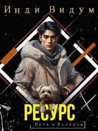 Обложка книги Ресурс - Инди Видум
