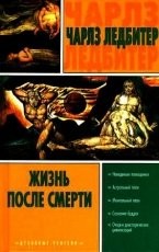 Обложка книги Жизнь после смерти - Чарлз Ледбитер