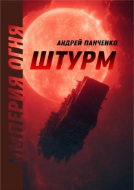 Обложка книги Штурм - Андрей Алексеевич Панченко