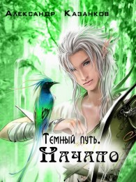 Обложка книги Темный путь. Начало (СИ) - Александр Петрович Казанков