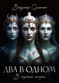 Обложка книги Два в одном. В паутине интриг - Владимир Александрович Сухинин